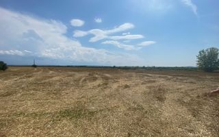 Sapient | Teren intravilan  la E60 - Poză 4