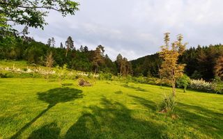 Teren cu PUZ - Tabara de Vacanta + Constructie Tiny Hous |  10 Cabane A-Frame - Poză 1