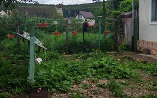 Casa individuala cu 3 camere,CODLEA - DUMBRAVITA ,65000 euro - Poză 6