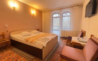 Hotel / Pensiune de vânzare în Central, Slanic-Moldova - Poză 20