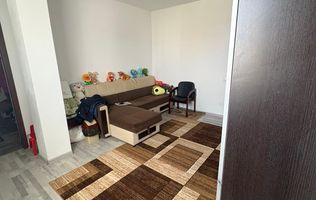 Apartament 3 camere decomandat zona Metalurgiei