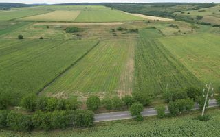 Teren de 4.400 mp Racova - Poză 6