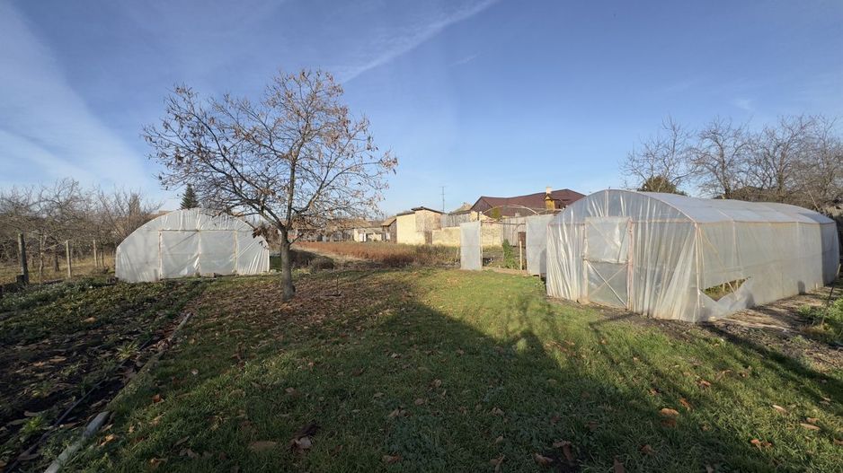 Casă 4 camere cu Teren 2.974 mp | Rezidență sau afacere | Carei - Poză 10