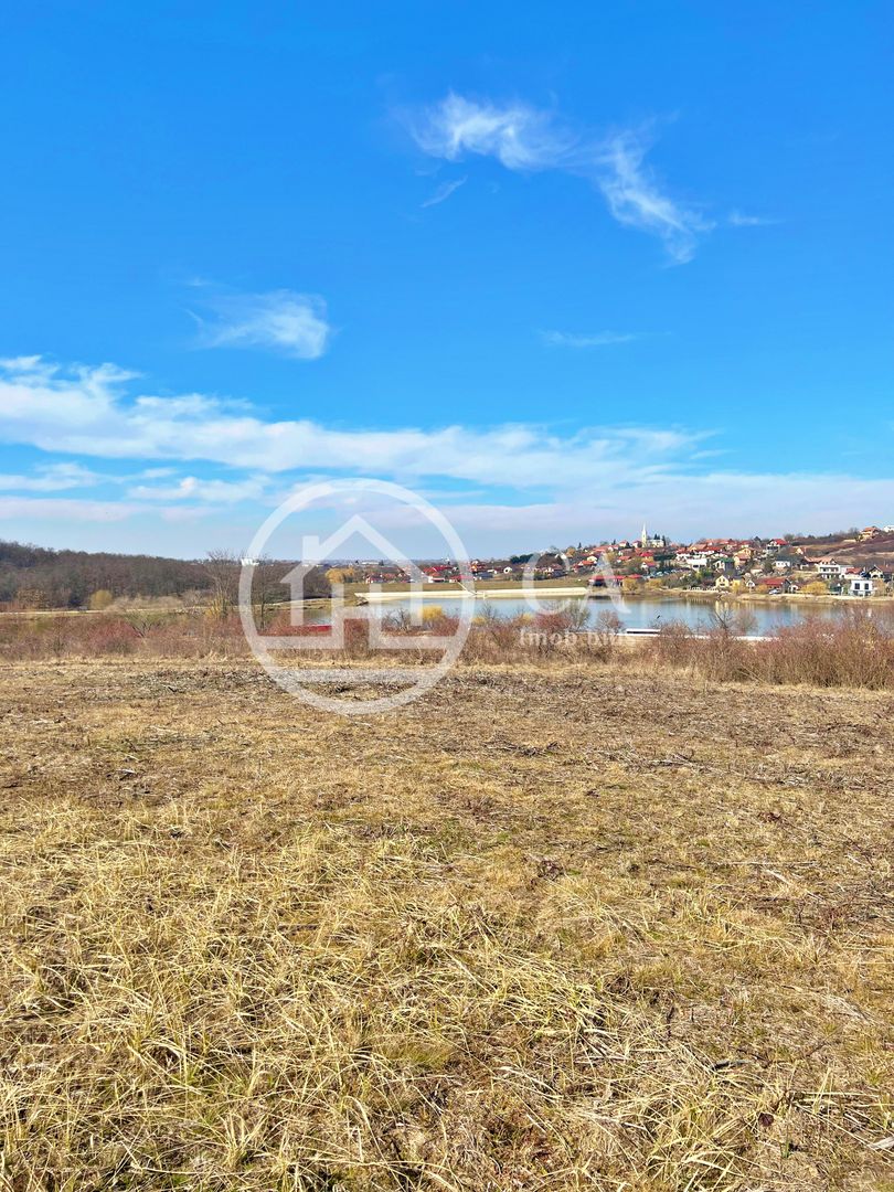 Teren 10.071 mp de vanzare in Paleu, Bihor - Poză 2