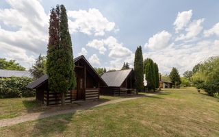 Afacere la cheie - domeniu cu lacuri de pescuit  - Sat Bunești, Com. Malureni - Poză 6