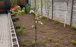 Comision 0% Casă modernă de vânzare Sanandrei 80 mp utili - Poză 4