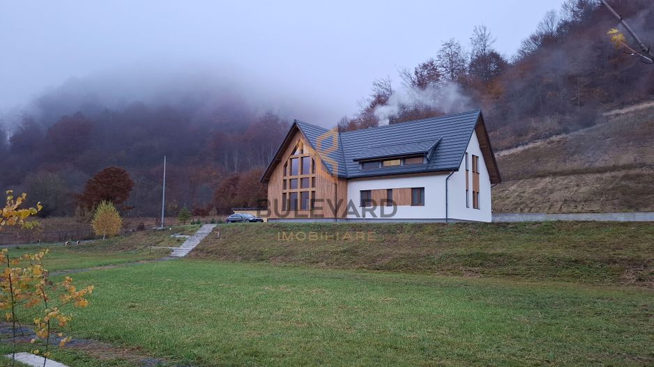 Proprietate cu potențial turistic în zona montană a Țării Lăpușului - Poză 2