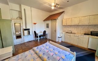 Garsoniera cu terasa proprie in vila interbelica | 20 mp + 16 mp terasa | Centru - Poză 1