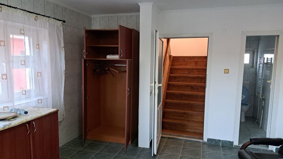 OFERTA in Băcia. Hunedoara ! Proprietate 2 case + Cabană - Poză 9