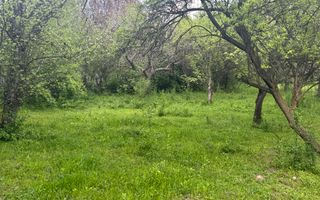 TEREN INTRAVILAN 7018 MP CAMPULUNG - Poză 33