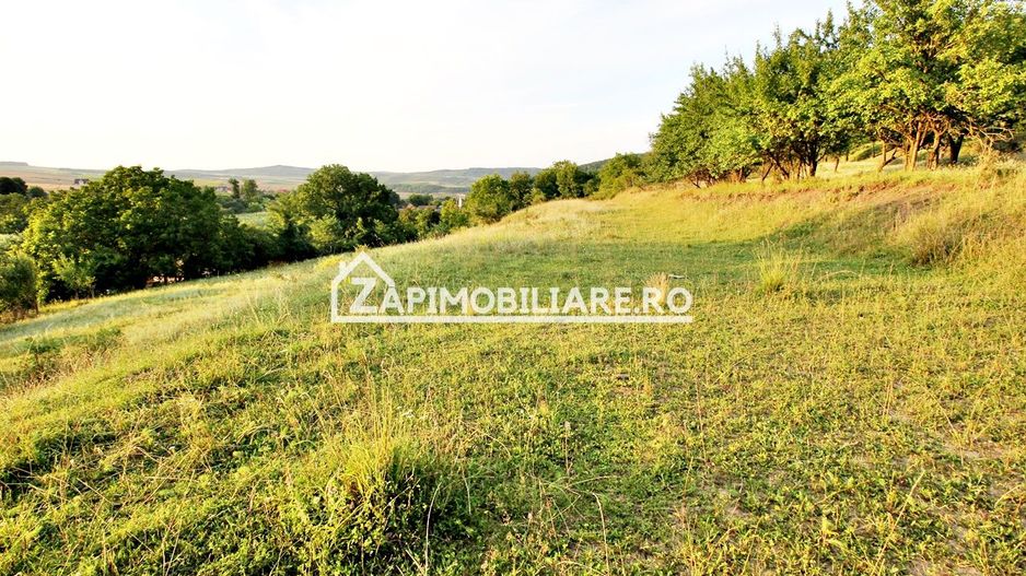 Teren Intravilan,5.000mp cu utilităti si proiect casă 12e mp - Poză 1