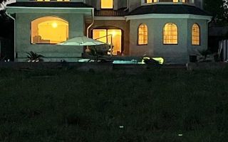 Vis mediteranean pe lacul Snagov - Izvorani - Poză 6