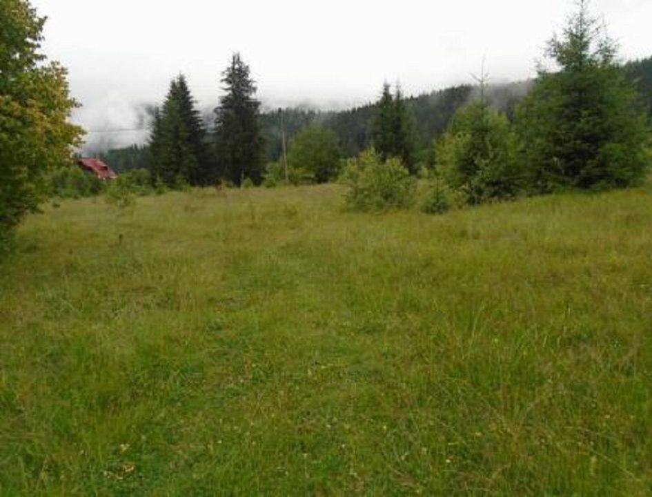 Teren Timisu de Sus - Poză 2