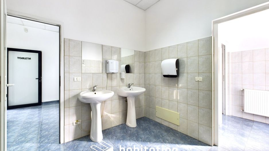 Clădire de birouri de închiriat în Dumbrăvița - Poză 20