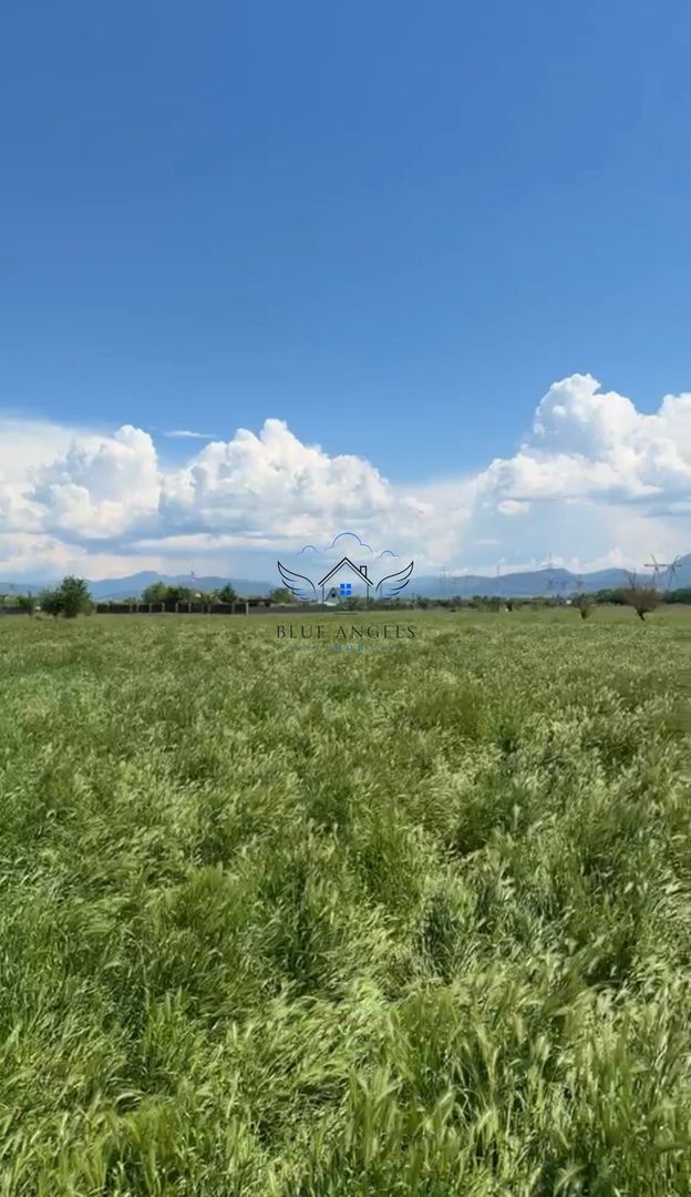 OPORTUNITATE lot de 1952mp in zona LIVADA, Sanpetru - Poză 3