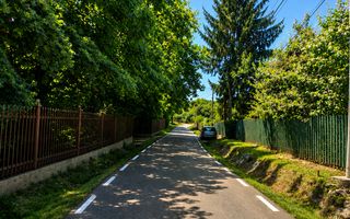 „Acasă, în adevăratul sens al cuvântului – casă cu livadă, liniște - Poză 3
