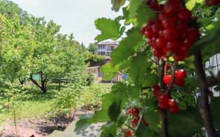 Casa individuala superba de vanzare, cartier Andrei Muresanu! - Poză 8