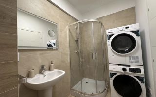 Apartament 1 cameră de închiriat în Cartierul Visoianu, Lunca Cetățuii - Poză 6
