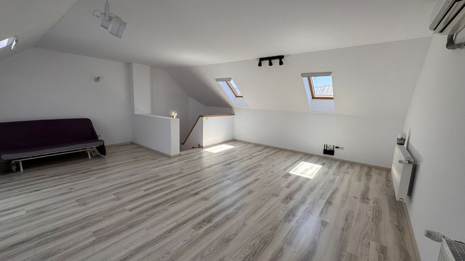 Vila Volutari 5 Camere Matei Millo - Poză 20