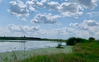 Teren Crevedia 62000 mp - Poză 9