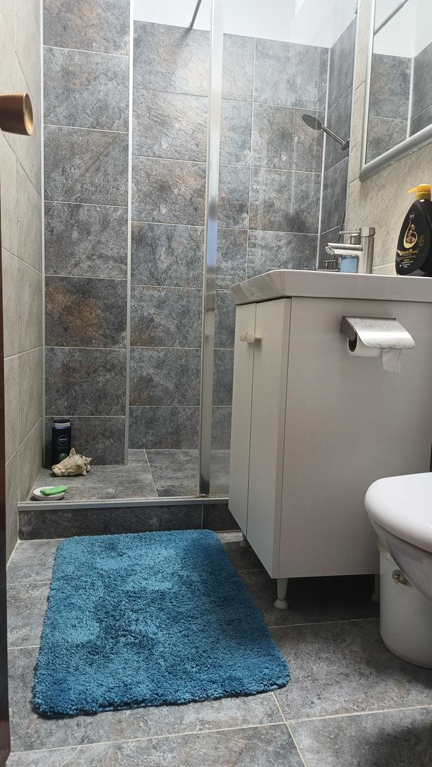 Apartament Stirbei Voda/Berzei - Poză 6
