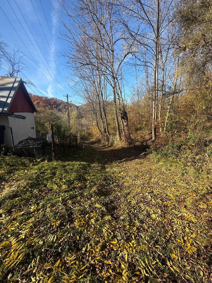 Teren langa pădure 6400mp+casa demolabila-deschidere 35 ml - Poză 18