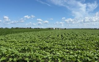 Teren extravilan de vânzare | Rădăuți | 4.000 mp - Poză 4