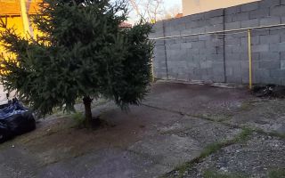 Casă individuala 80 mp | Teren 396 mp | 2 fronturi stradale - Poză 3