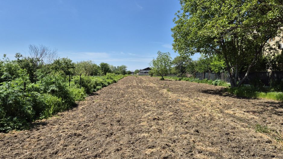 Teren intravilan 2658 mp - 1 Decembrie, Ilfov - Poză 2