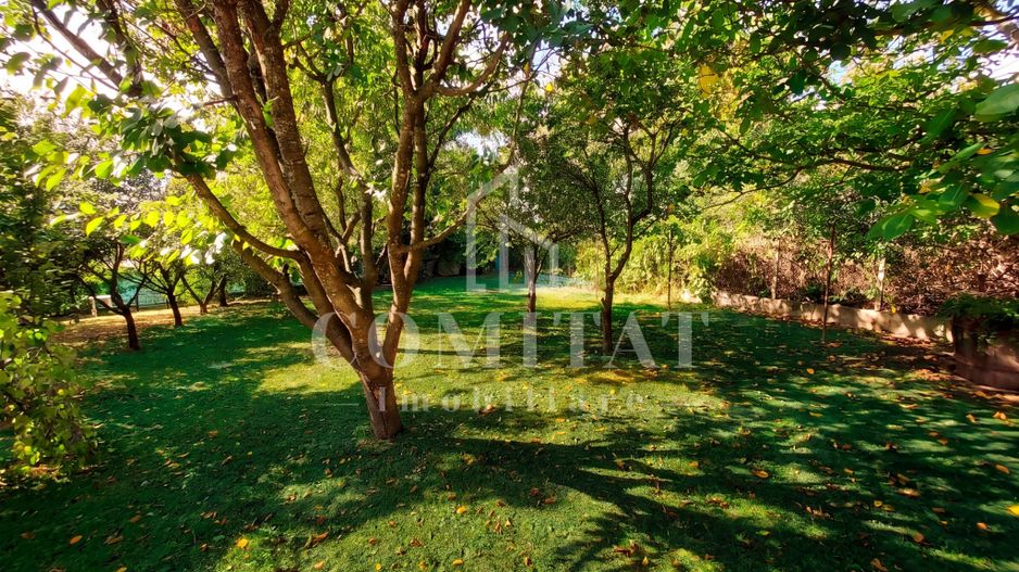 Vilă în Făget | Sediu companie | 2.412 mp teren 8 parcări - Poză 13