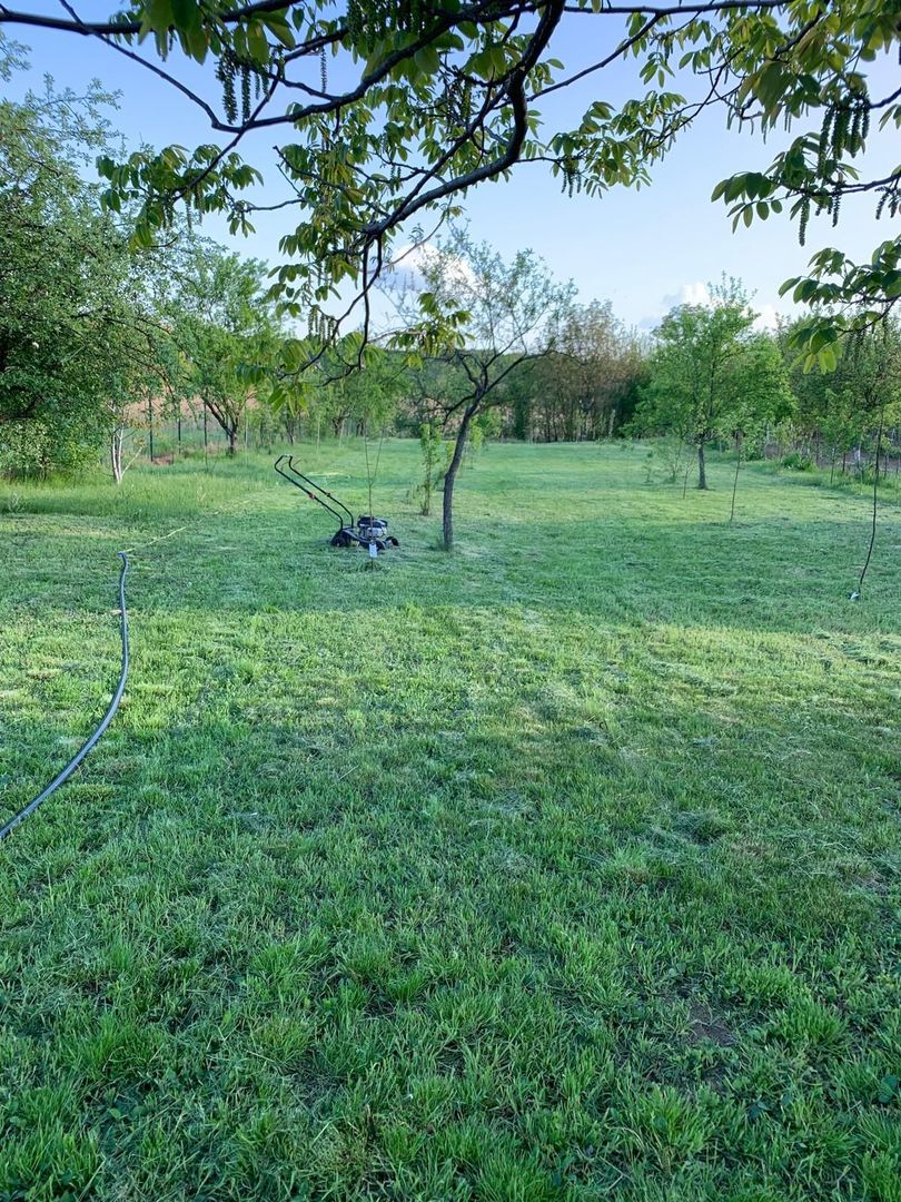 Teren 2000 mp de vânzare – Comana, deschidere la lac, aproape de Parcu - Poză 2