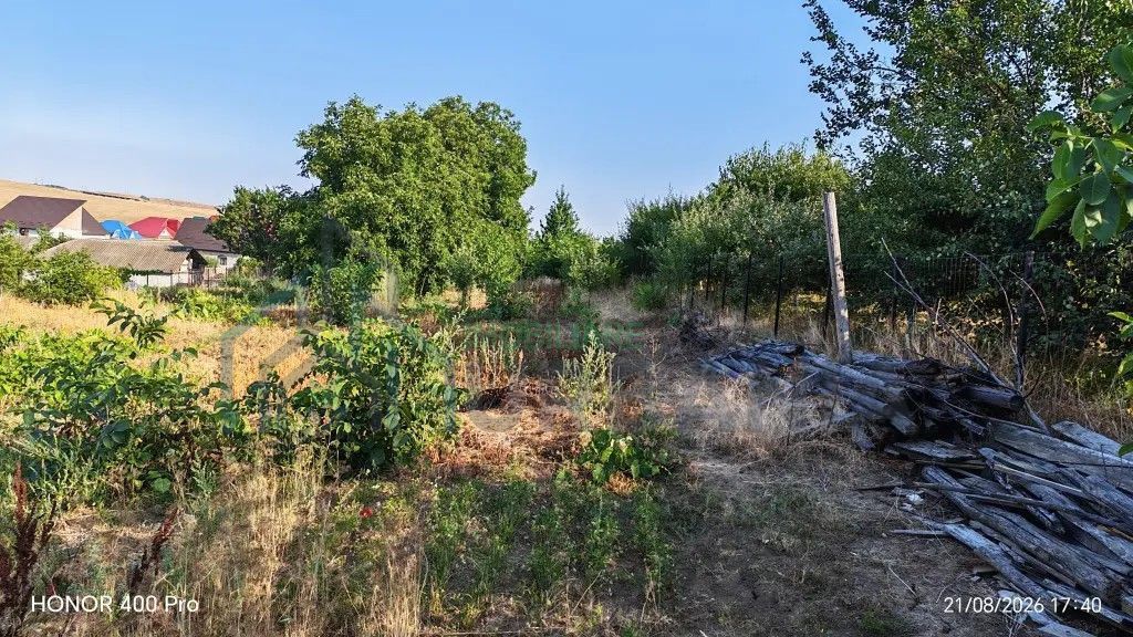 Teren de vânzare în Dealul Viilor, Hârlău – 2.100 mp, gard complet, pomi fructiferi - Poză 2