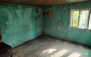 Teren intravilan 1.200 mp cu casă veche 77 mp, sat Goruni, comuna Tomești, județul Iași - Poză 9