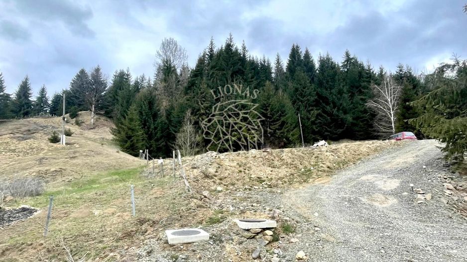 Teren intravilan 3039 mp-Parcelabil-ponton-Colibita Exclusiv - Poză 7