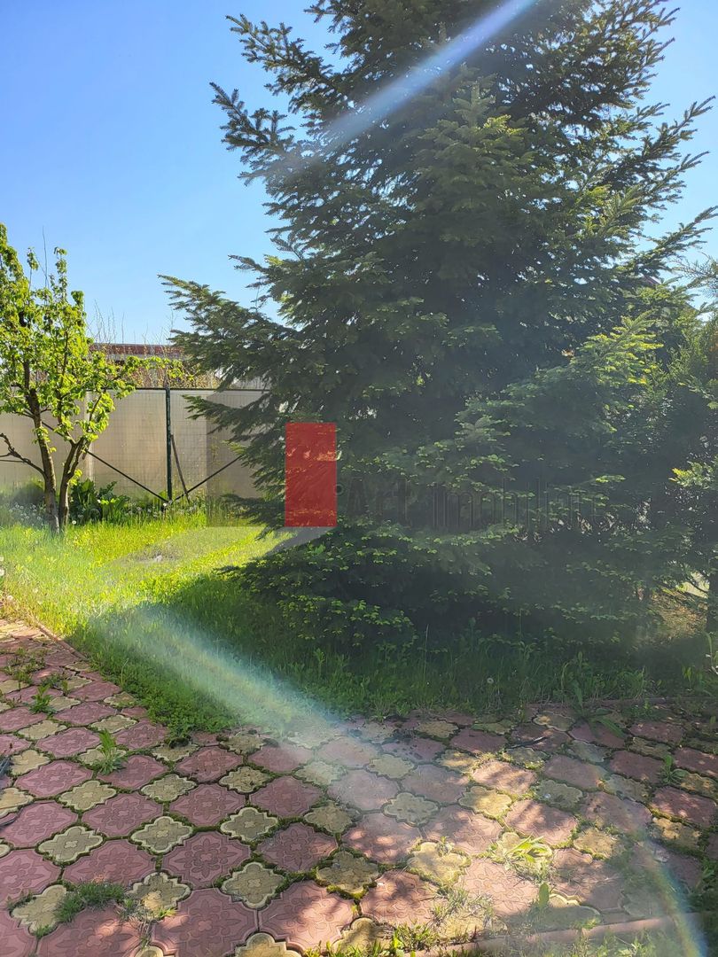 Silistea Snagovului | Casa de vis | Locatia de vis - Poză 5