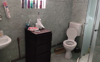 Casa cocheta la 30 minute de Craiova- Cornița Dolj - Poză 5