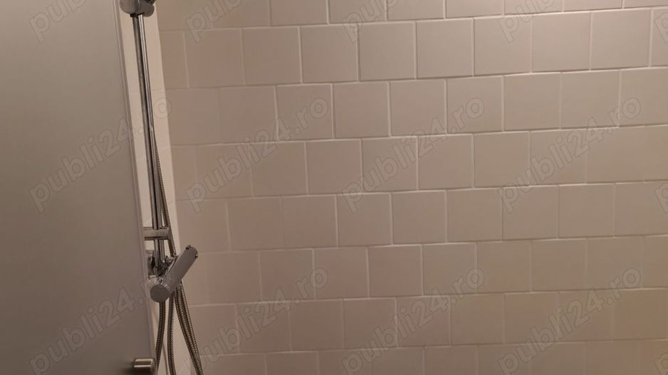 Apart deosebit pe malul Begai - Poză 8