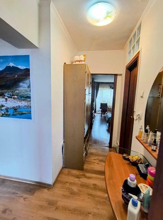 Apartament Stefan cel Mare/parcul Circului - Poză 8