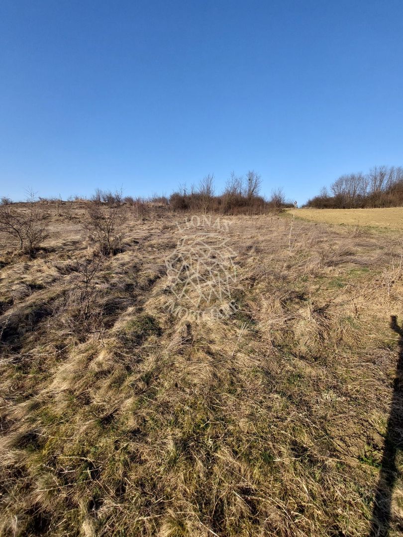 Teren 2100 mp in Zona Valea Stanelor - Poză 3