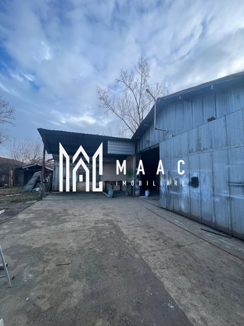 Hala | 380 MP | Teren 800 MP - Poză 1