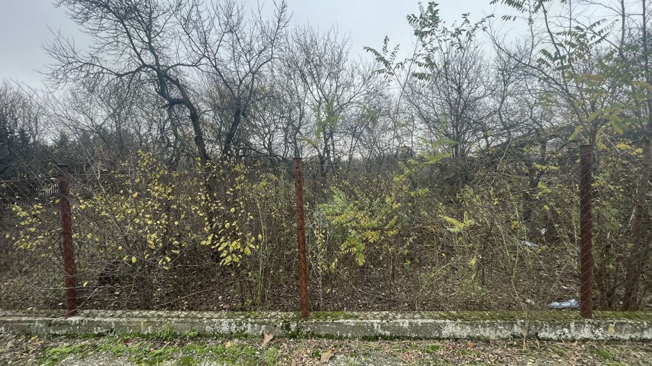 Teren in suprafata de 2165 mp cu front de 30 ml - Poză 3