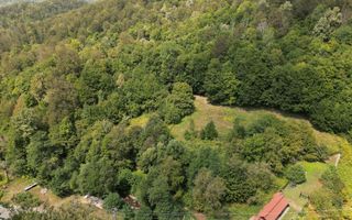 Teren intravilan de 1500 mp pe deal în Moneasa - Poză 6