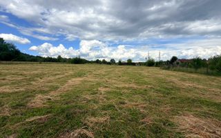 DOUĂ CORPURI DE CASĂ TEREN INTRAVILAN 6997 MP BUGHEA DE SUS ARGEȘ - Poză 12