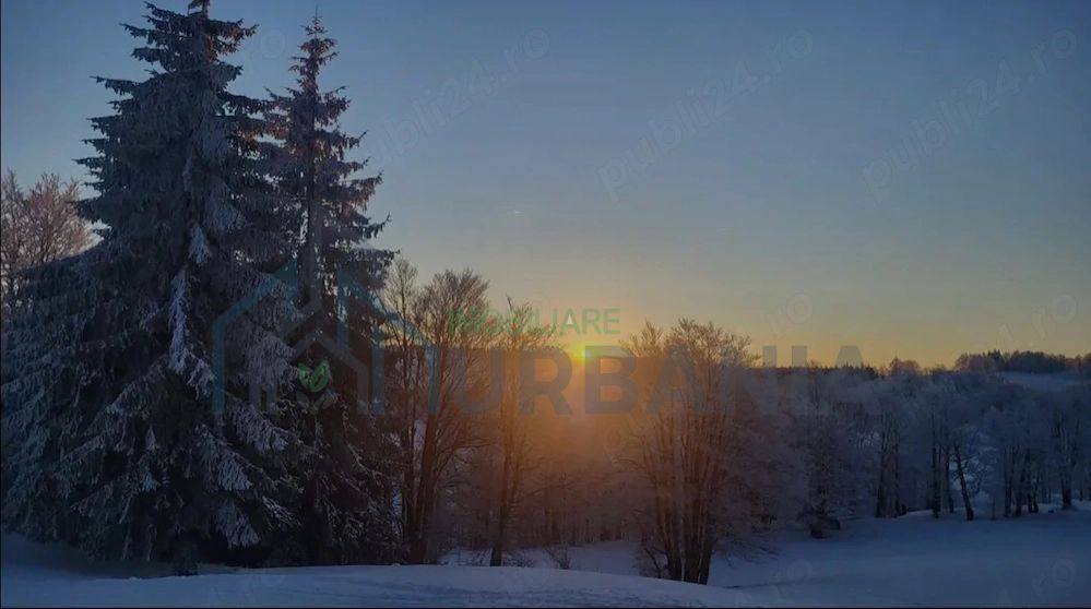 Gradină în arendă, 500 mp, zona Nicolina, Iași - Poză 1