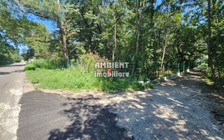 INVESTIȚIE!! Teren intravilan 5.000 mp, zona BĂLTENI - Padure; - Poză 6