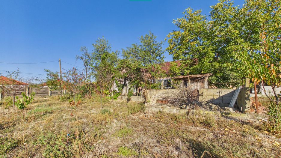 Casă cu teren 983 mp, front stradal 30 m, Cicir - Poză 13