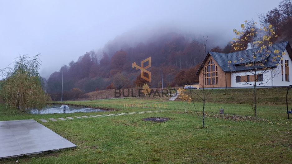Proprietate cu potențial turistic în zona montană a Țării Lăpușului - Poză 1
