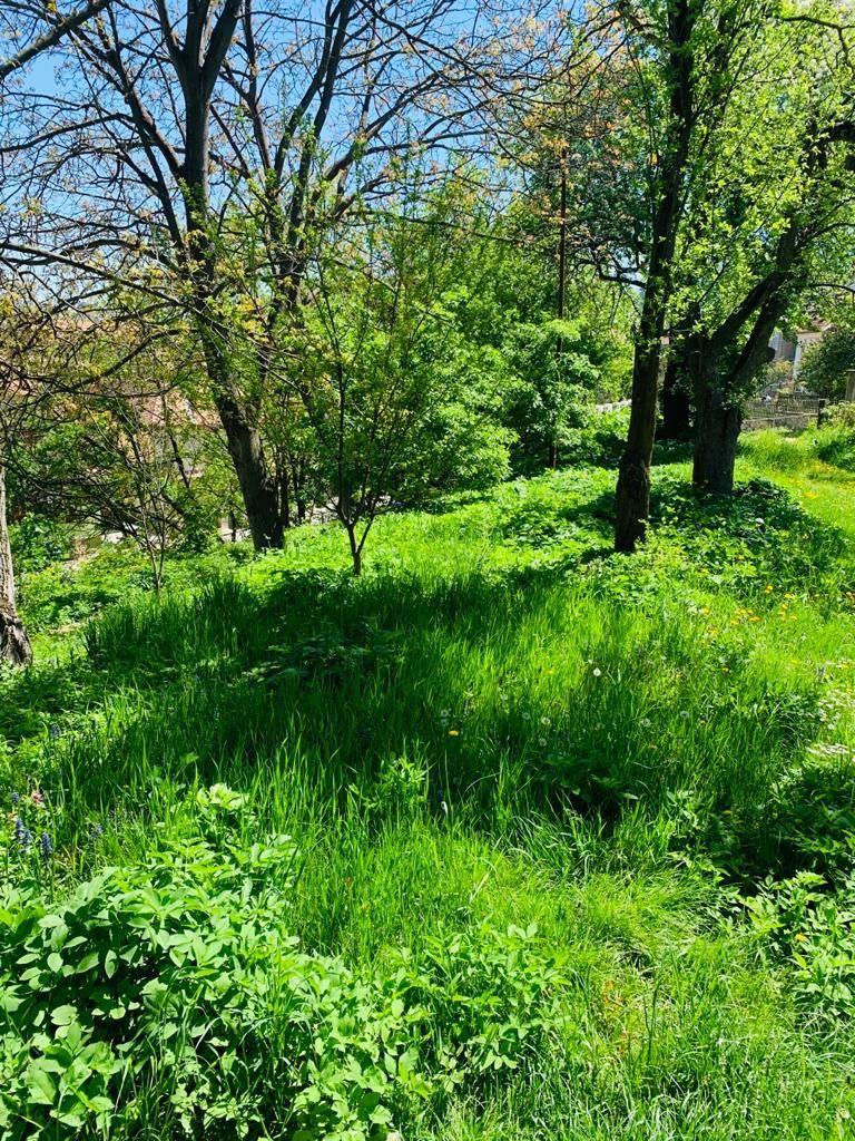 Casa boiereasca cu teren - Poză 3