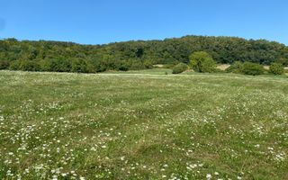 Teren 11.000 mp-ideal cabana/ferma-Unirea-Valea Slatinitei - Poză 3