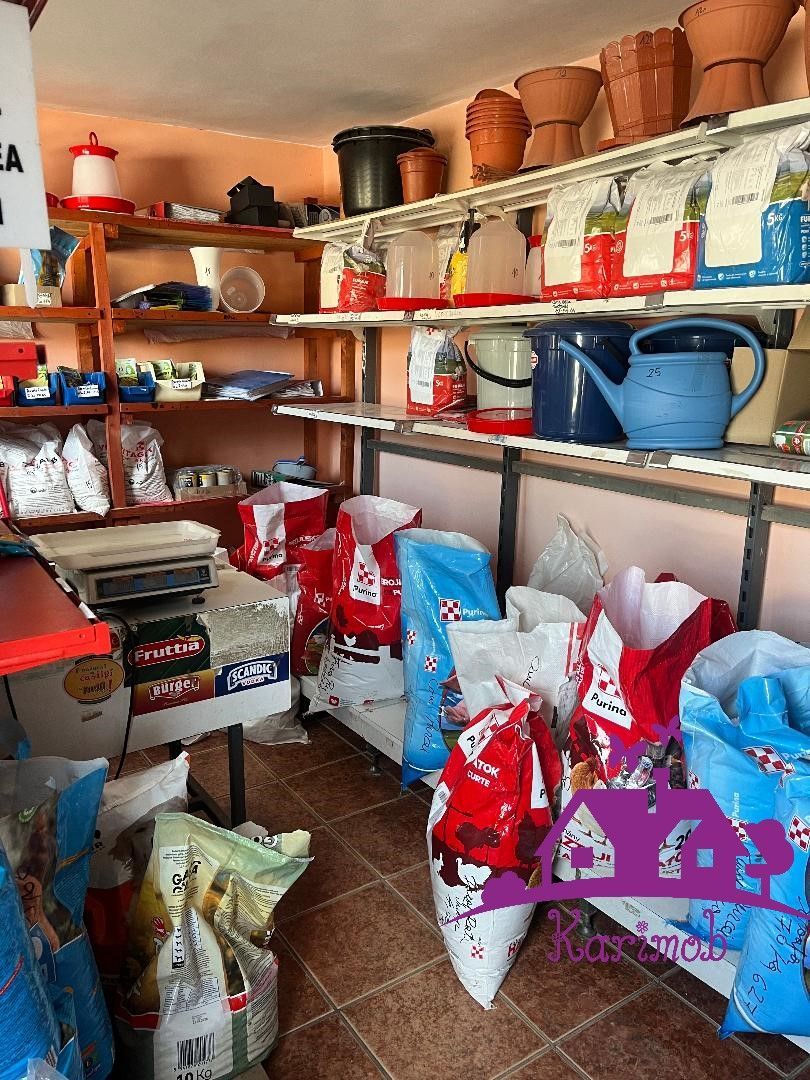 Casa in localitatea Nojorid - Poză 19